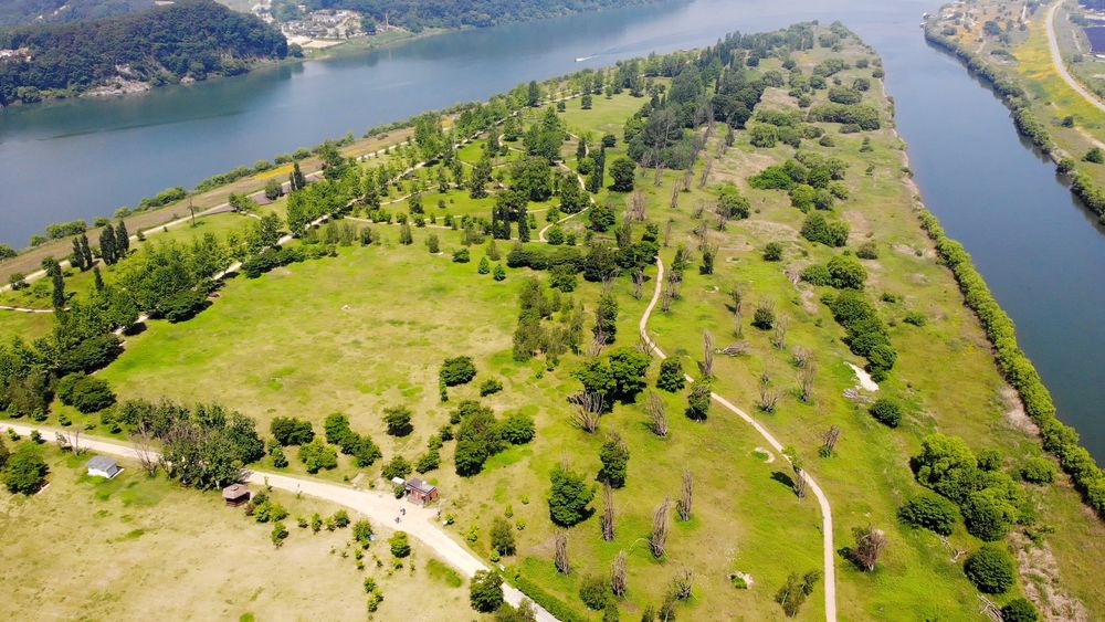 여주 데이트하기 좋은 여주 강천도 유원지, 여유롭고 낭만이 넘치는 은행나무길, 미루나무 숲길, 여주 소풍장, 여주 배낭여행지