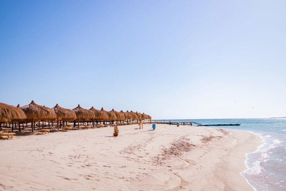 훌라훌라섬 바다에서 즐기는 스노클링 & 전일 점심 식사 - 후르가다