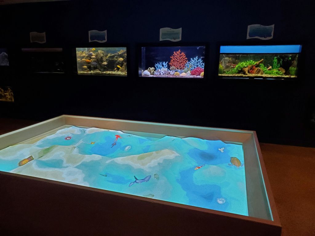 바다 풍경이 투영된 대화형 모래 테이블과 그 뒤의 어두운 벽에 세 개의 수족관 디스플레이가 있습니다.