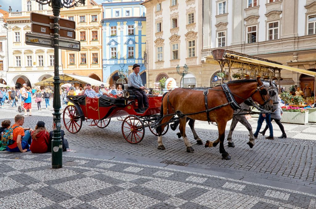 도시 광장에 사람들이 앉아 있고 운전사가 고삐를 잡고 있는 마차입니다. 화려한 건물이 배경을 이루고 있습니다.
