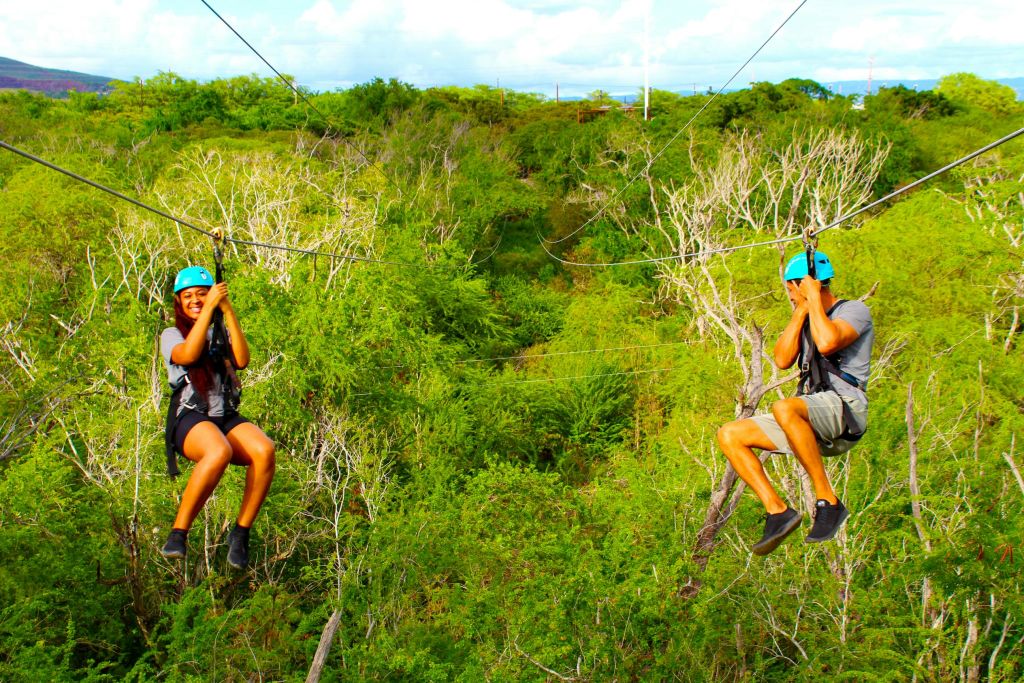 파란색 헬멧과 하네스를 착용하고 부분적으로 흐린 하늘 아래 빽빽한 녹색 단풍 위에 지퍼 라이닝을 한 사람.