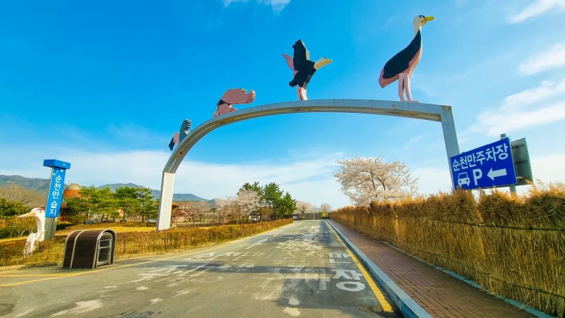 순천 순천만에코빌리지펜션(다동) 이런 분들 추천해요 이미지