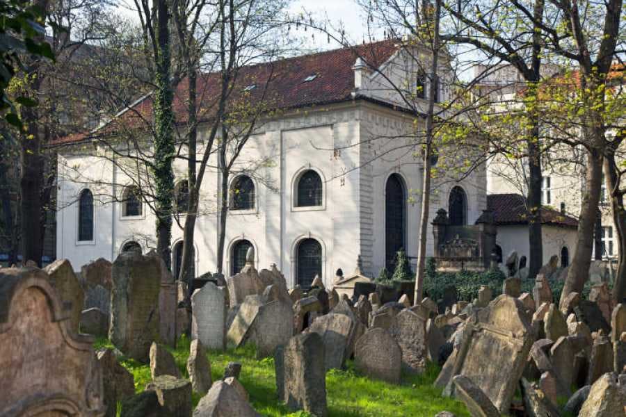 잔디가 우거진 묘지에 흩어져 있는 오래된 비석에는 아치형 창문이 있는 유서 깊은 흰색 건물과 붉은 타일로 마감된 지붕이 배경으로 있습니다.