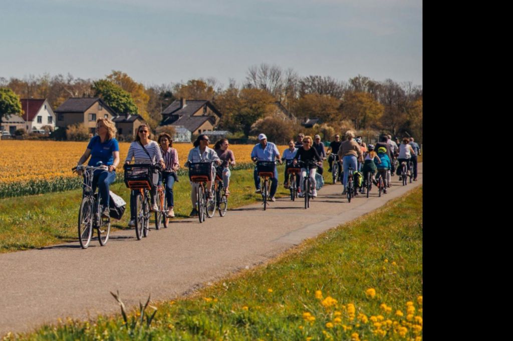 꽃밭을 따라 자전거 타기