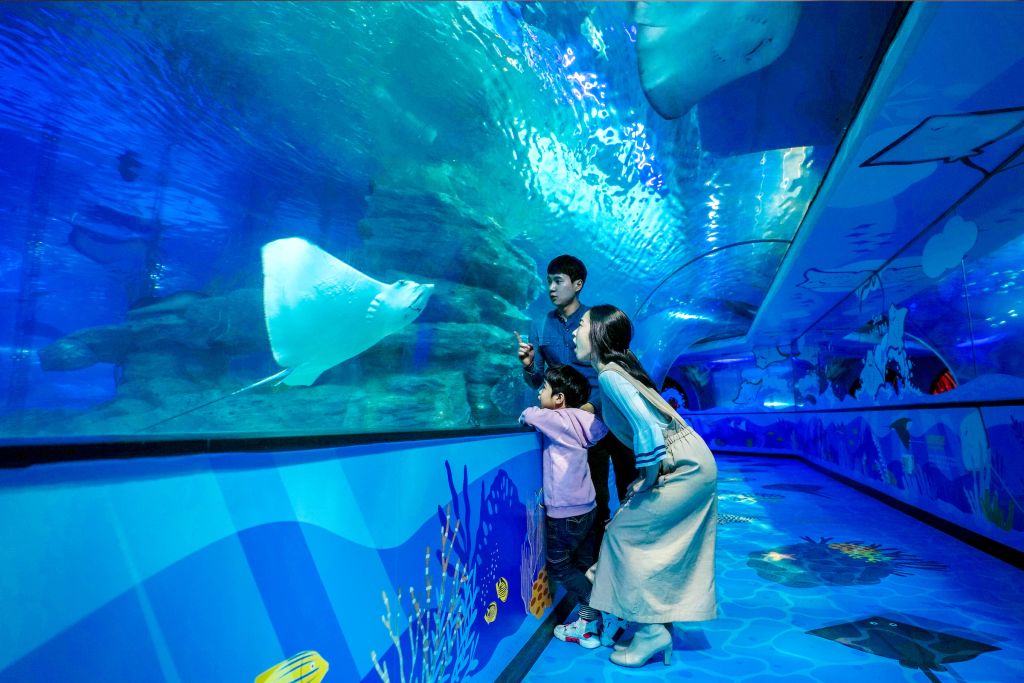 SEA LIFE Busan Aquarium with Lotte Duty Free Discount Voucher