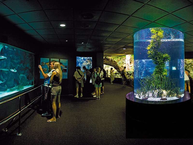 물고기와 식물이 담긴 대형 원통형 및 직사각형 탱크가 있는 조명이 희미한 수족관에서 다양한 수중 전시회를 관람하는 사람들.