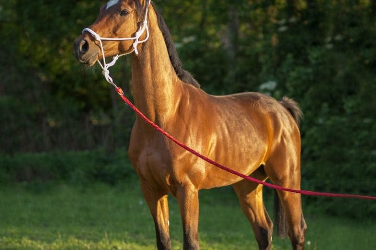 단 하나의 사랑