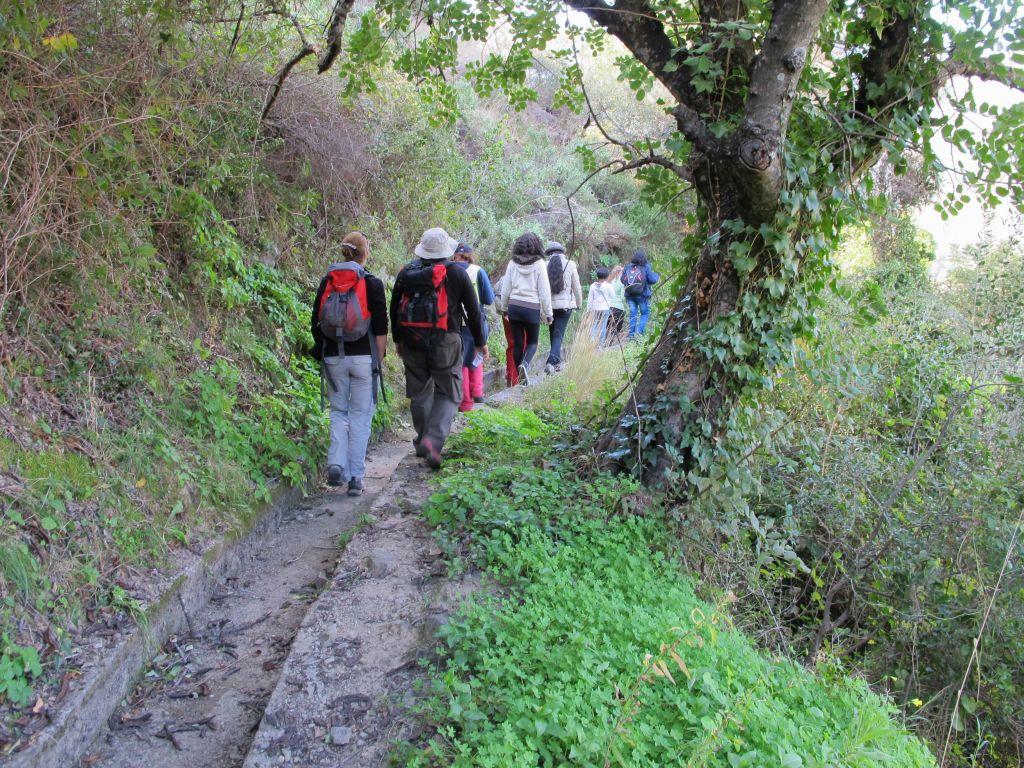울창하고 푸른 숲 속 좁고 나무가 우거진 산책로를 걷는 등산객들.