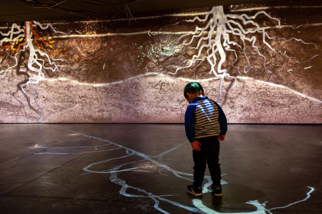 뿌리와 즐거운 시간 보내기