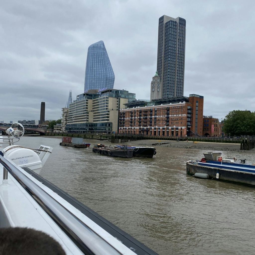 시티 크루즈 영국