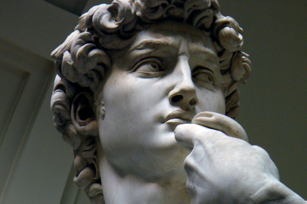 데이비드의 놀라운 눈