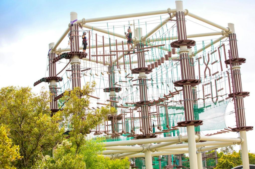 플랫폼, 로프, 사다리가 있는 높은 로프 코스를 항해하는 사람들은 전경에 나무가 있는 야외로 나옵니다.