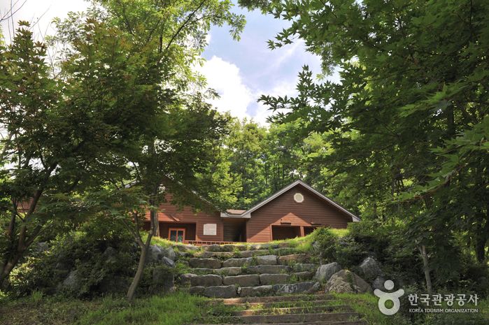 [양평] 용문산 자연 휴양림