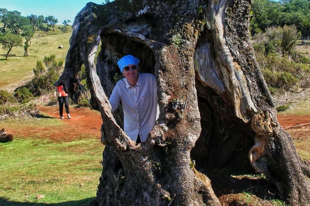 북서부 - 녹색 악마 사파리