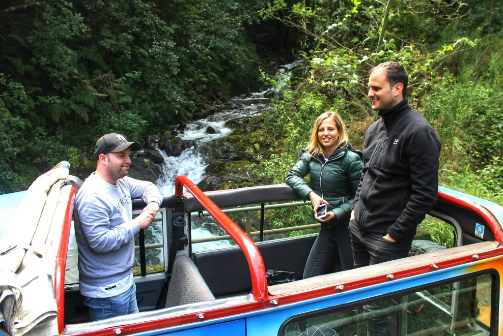 북서부 - 녹색 악마 사파리