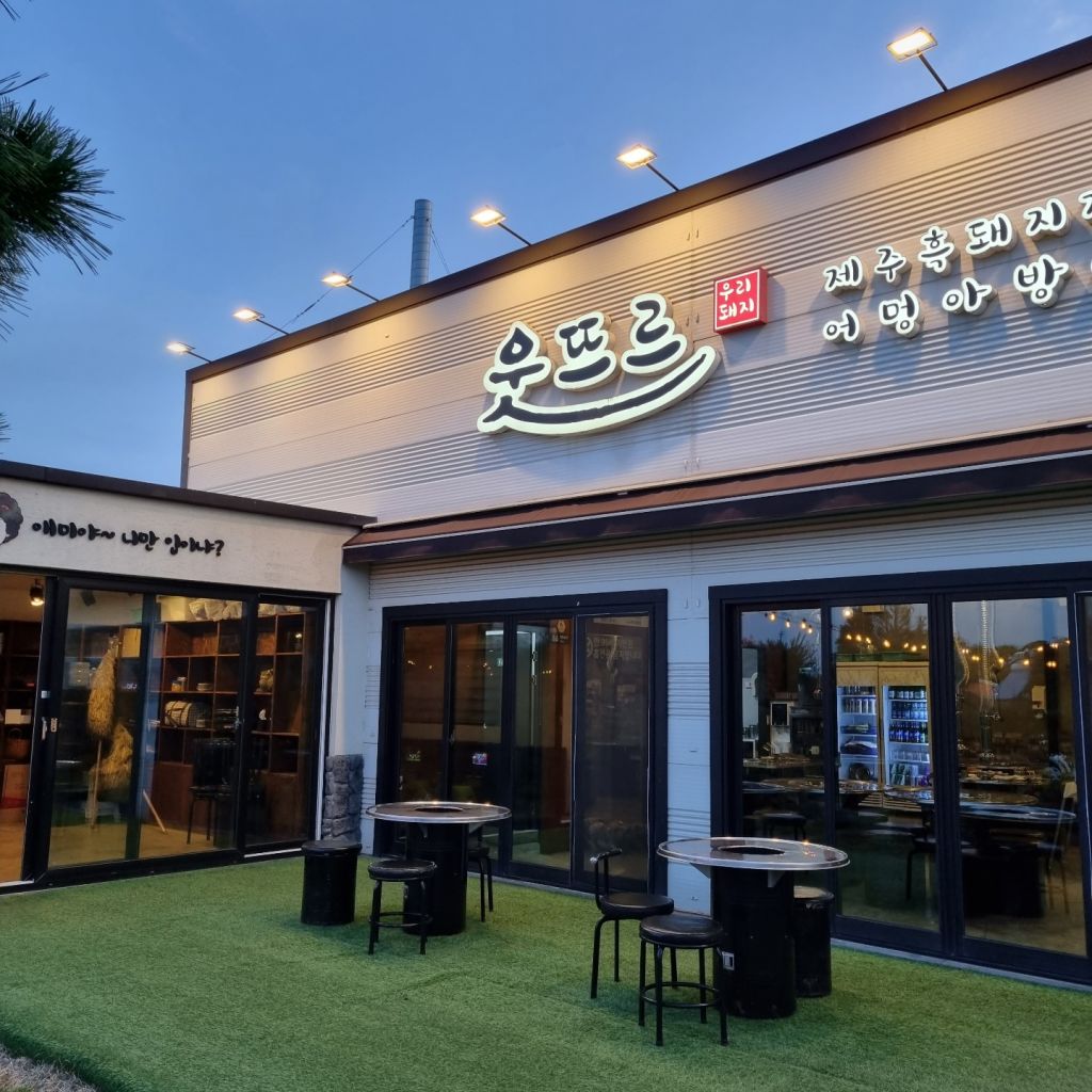 웃뜨르 우리 돼지