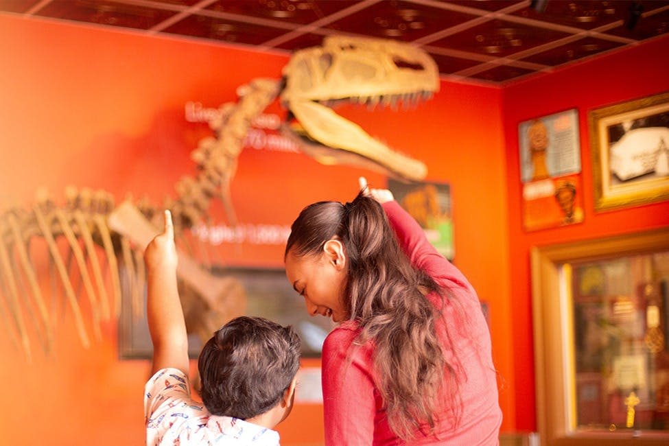 리플리의 믿거나 말거나! 나이아가라 폴스