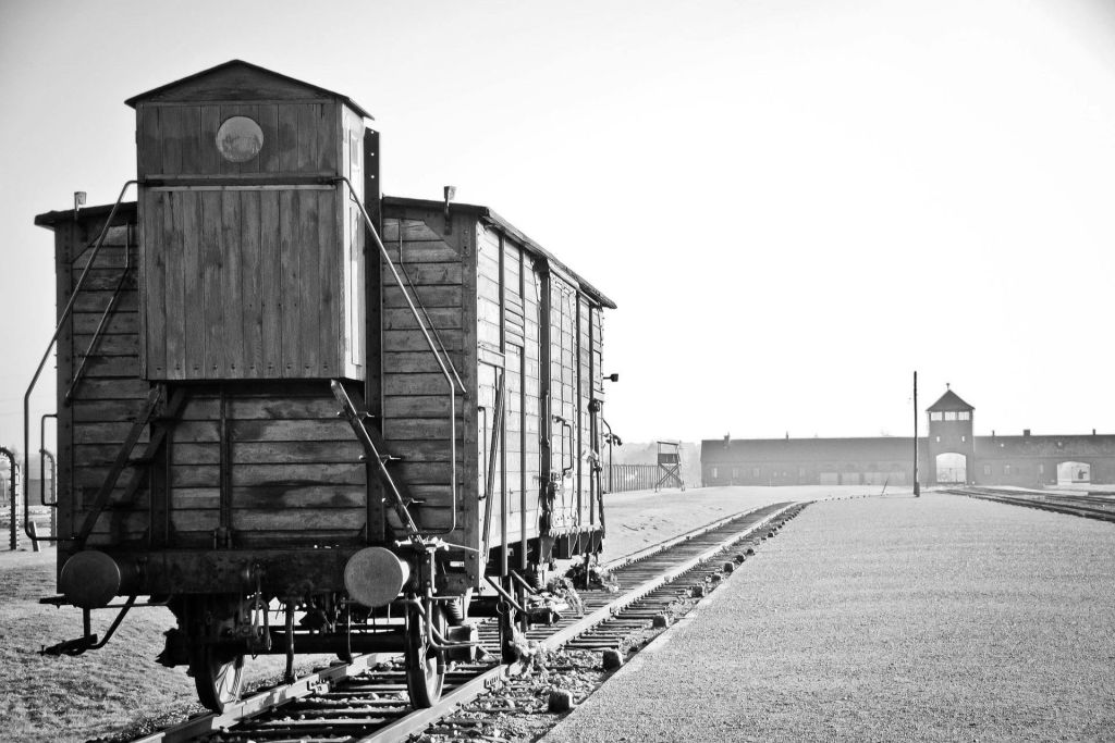 Birkenau.
