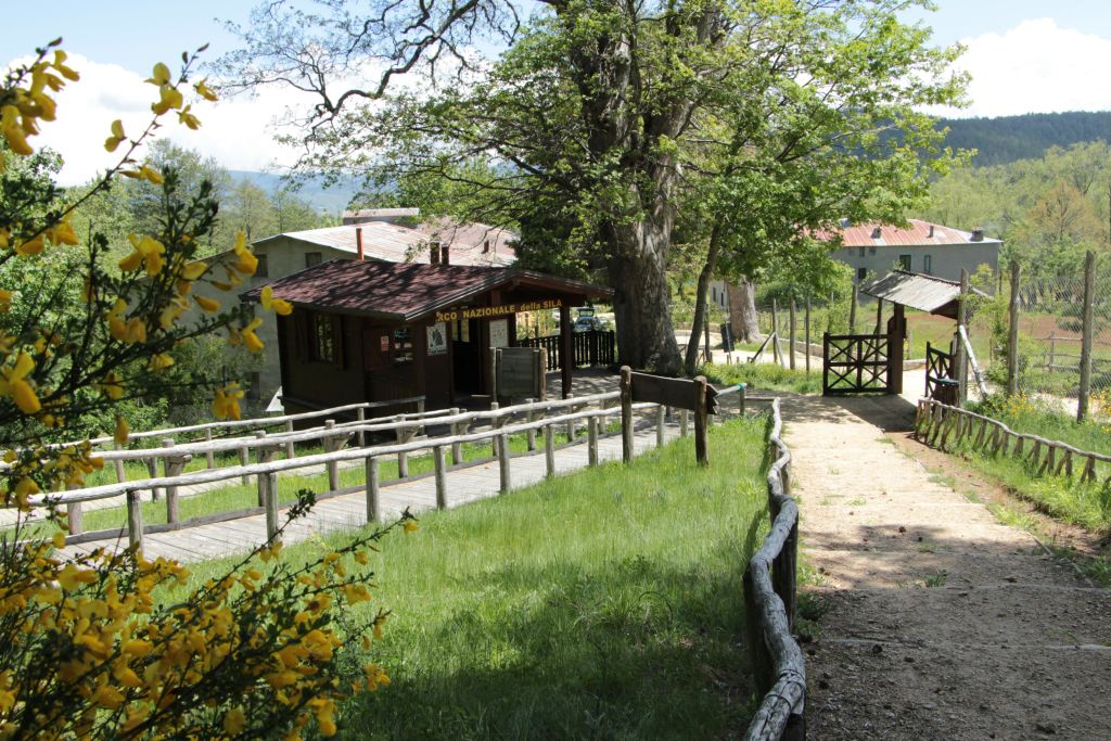 나무로 둘러싸인 간판과 나무 울타리가 있는 작은 목조 건물로, 머리 위로 맑은 하늘이 펼쳐진 시골 분위기에 있습니다.