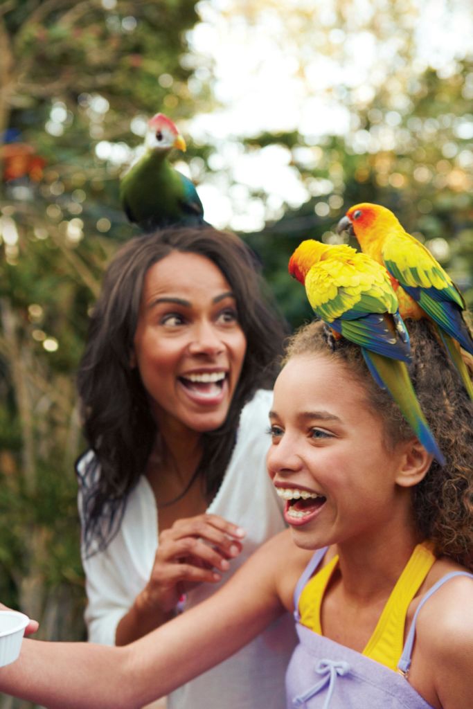 알록달록한 앵무새가 소녀의 머리에 자리잡고 있는 야외 공간에서 두 사람이 미소를 짓고 있습니다.