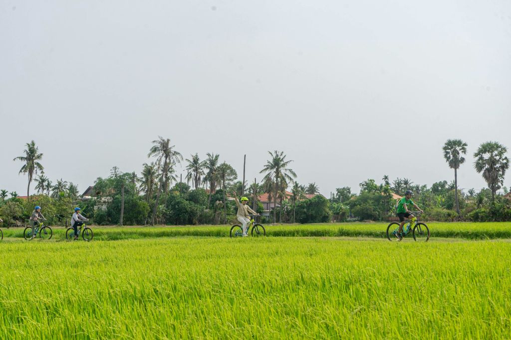 이 자전거 트레일을 통해 지도에서 찾을 수 없는 숨겨진 보석을 발견할 수 있습니다.