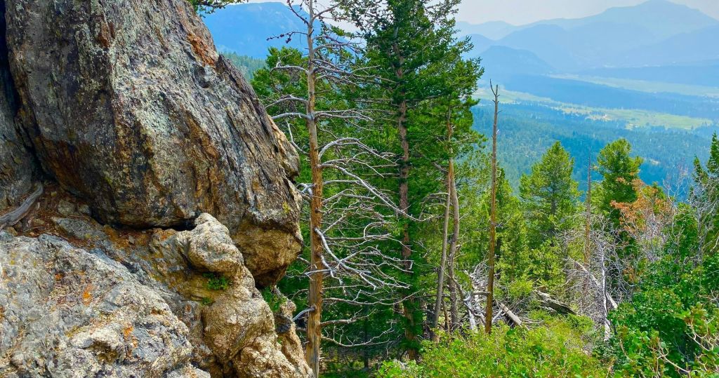 흐릿한 하늘 아래 숲이 우거진 산 풍경에 나무가 우거진 바위 경사면.