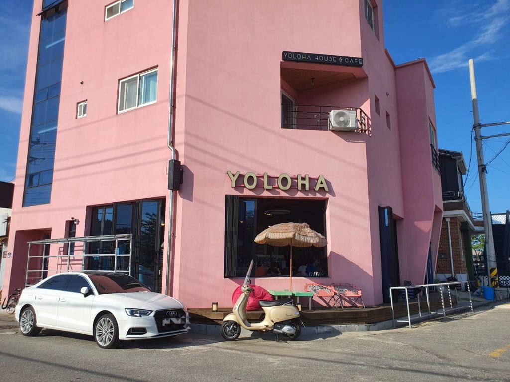 욜로하
