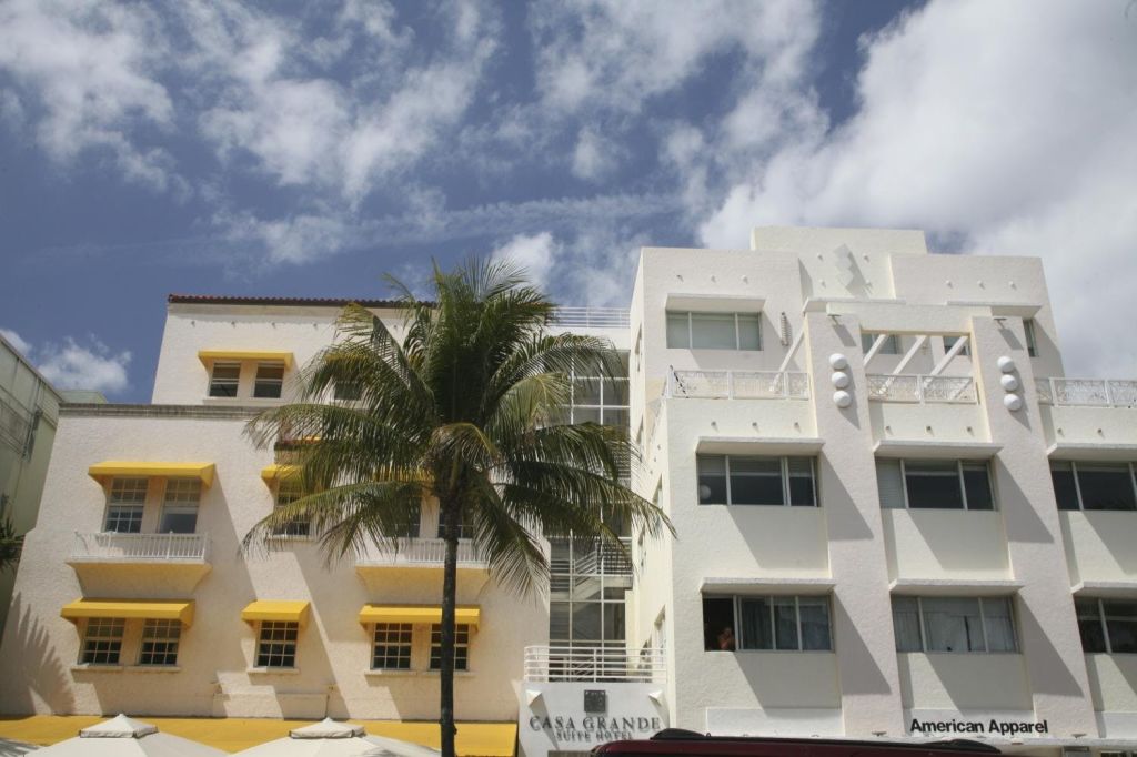 마이애미 그레이라인