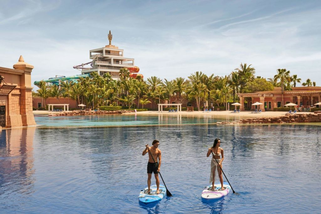 돌고래를 만나는 패들보드 투어