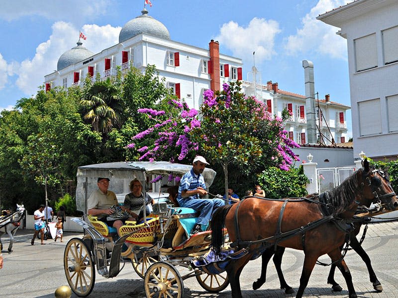 푸른 돔이 있는 하얀 건물 앞, 나무와 꽃이 우거진 거리에 승객이 탄 마차입니다.