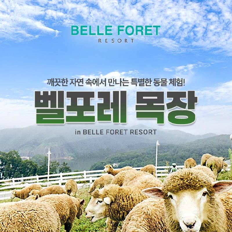 [충북] 벨포레 리조트 목장