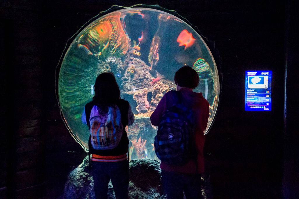 두 사람이 배낭을 메고 커다란 수족관을 들여다보며 화려한 물고기와 산호초를 감상합니다.