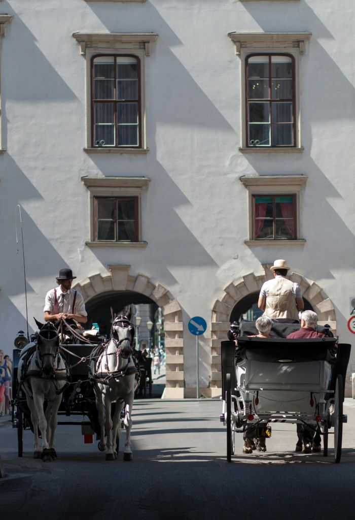 흰색 건물을 배경으로 아치형 다리 아래를 지나가는 마차.