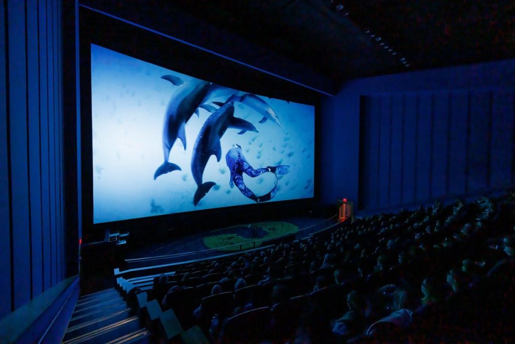 돌고래의 부름 3D