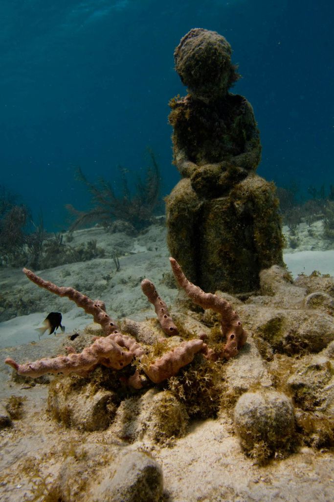 해양 식물과 산호 지층 사이에 산호로 덮인 동상이 있는 수중 장면으로, 근처에 작은 물고기가 헤엄치고 있습니다.