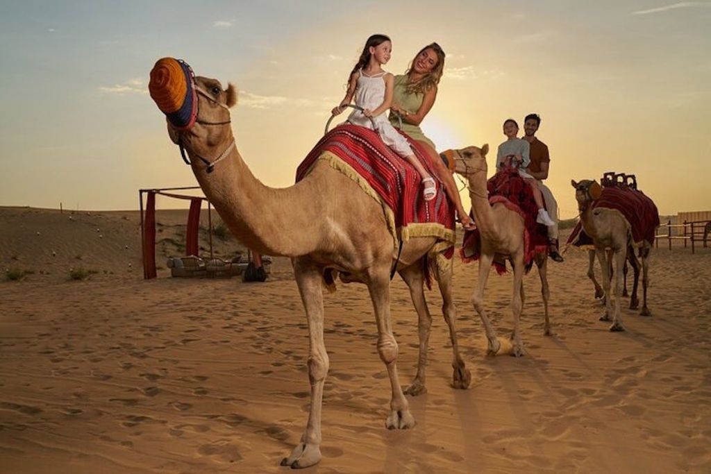 노블 어드벤처 캠프 - 프라이빗 VIP 골드 좌석에서 즐기는 사막 식사/특별 VIP 플래티넘과 라이브 엔터테인먼트