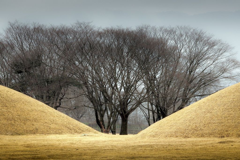경주 계림