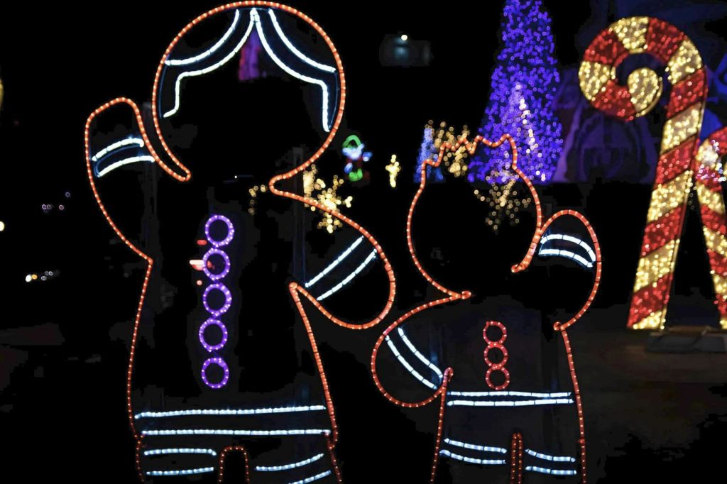 겨울 빛 축제 투어 (선택 날짜, 11월 16일 ~ 1월 5일, 정확한 날짜는 다를 수 있음)