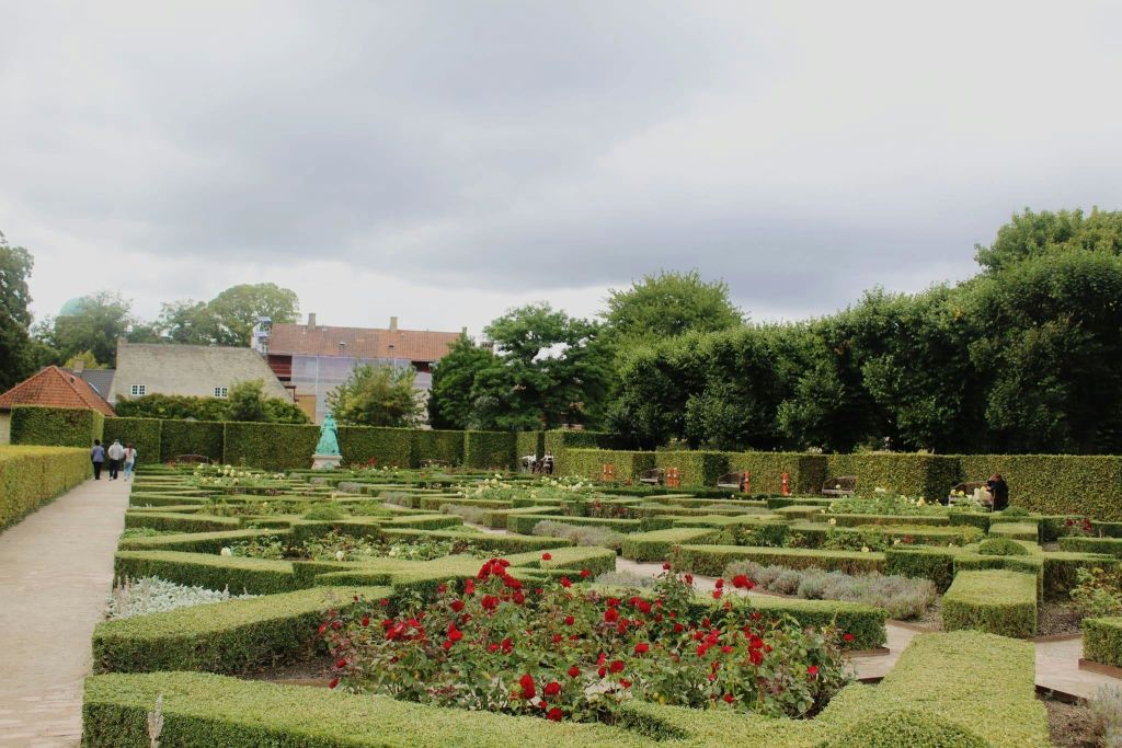 깔끔하게 다듬어진 울타리, 꽃이 피는 붉은 장미, 흐린 하늘 아래 나무와 건물의 먼 배경으로 꾸며진 정원.