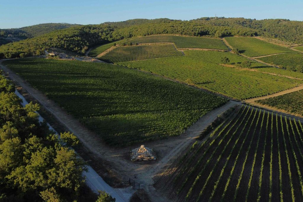 여름의 와인 농장