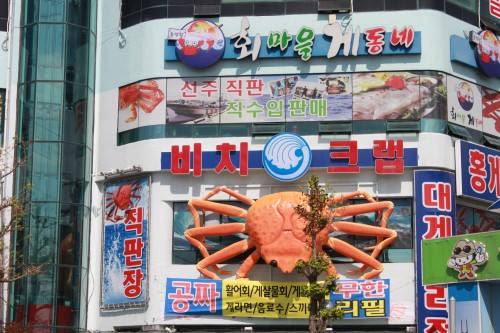 비치 크랩
