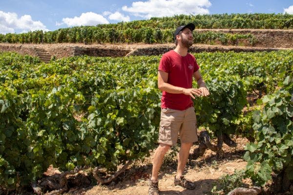빨간색 셔츠와 카키색 반바지를 입은 남성이 포도밭에 서 있으며, 뒤에는 계단식 포도나무가 있고 위에는 화창한 푸른 하늘이 있습니다.