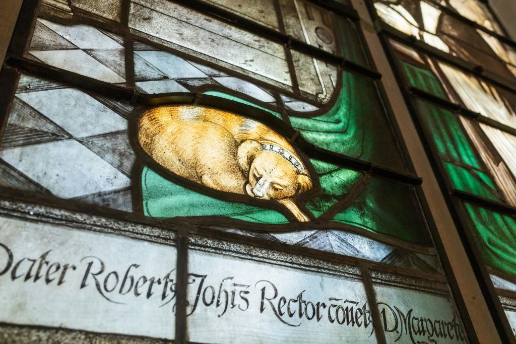 Gouda 안경에는 이 작은 개처럼 발견할 수 있는 모든 것이 있습니다.