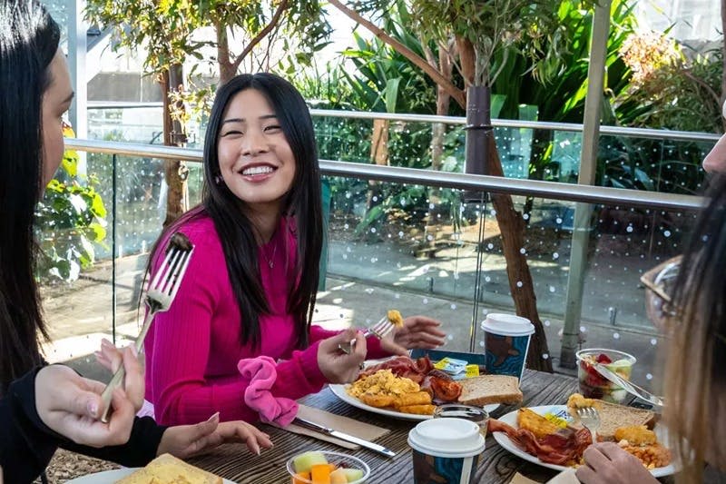 코알라와 함께하는 아침 식사