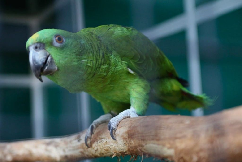 Chocolate Experience Centre
