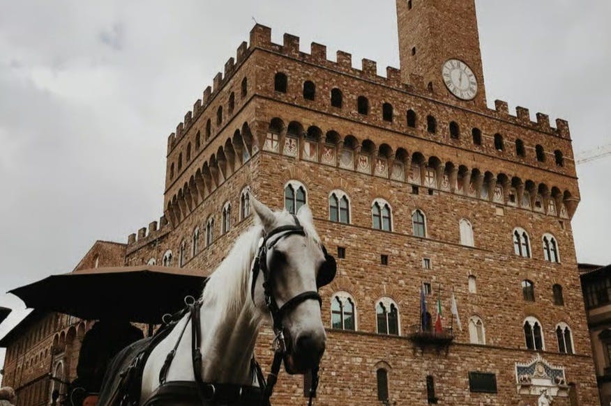아치형 창문과 커다란 시계탑이 있는 유서 깊은 석조 건물 앞 마차에 백마 한 마리가 매달려 있었다.