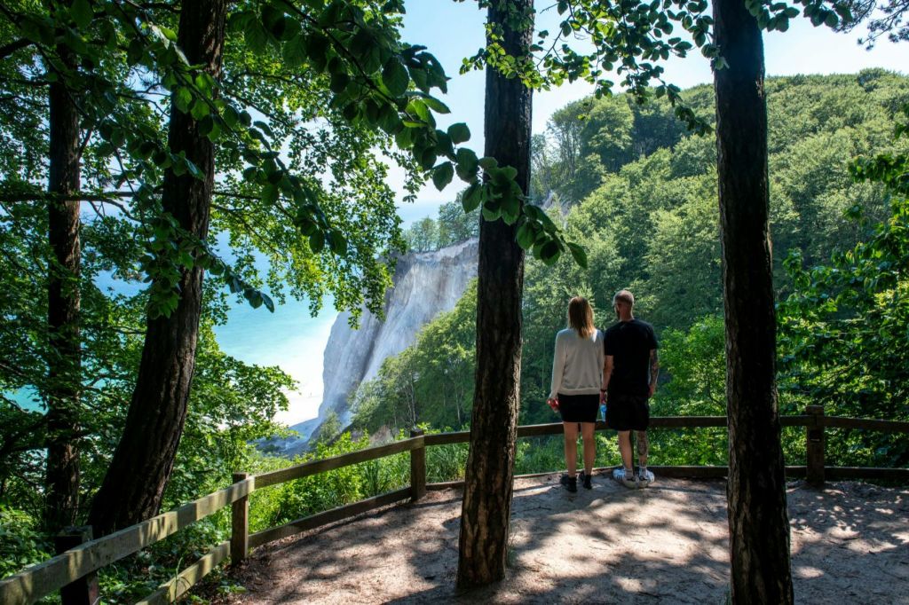 나무로 둘러싸인 나무 전망대에 두 사람이 서서 멀리 해안 절벽과 바다가 내려다보입니다.