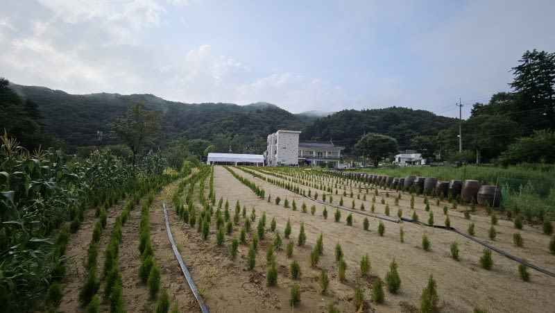 광주 펜션&남한산성아트홀펜션 팁 & 고려사항 이미지