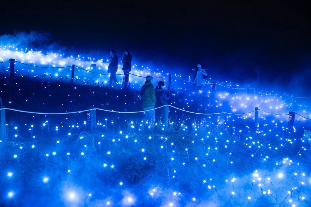 커럼빈 야생동물 보호구역의 아스트라 루미나