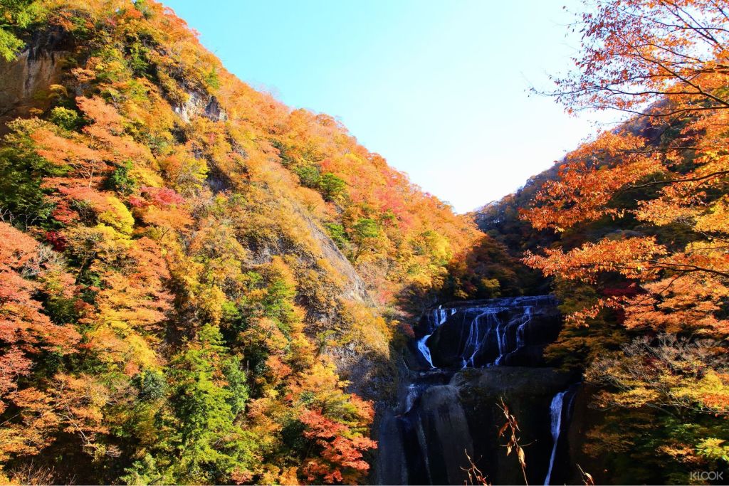 후쿠로다 폭포의 가을